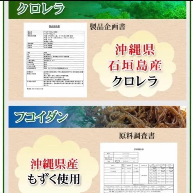 長命草 フコイダン クロレラ入り サプリメント 約3ヵ月分 健康食品 < グルメ/ドリンク  長命草 フコイダン クロレラ入り サプリメント 約3ヵ月分 健康食品 < グルメ/ドリンクの