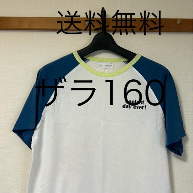 ���������@�U���P�U�O�T�C�Y�@T�V���c  �� �L�b�Y/�x�r�[�� 