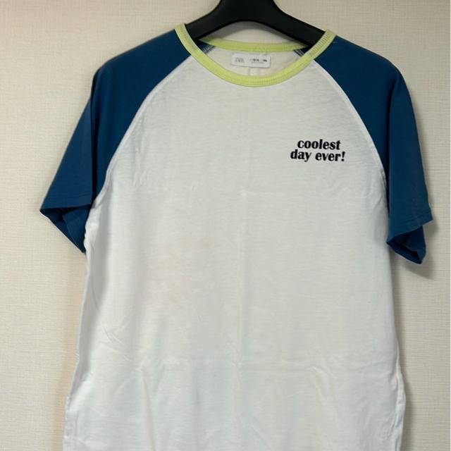 ���������@�U���P�U�O�T�C�Y�@T�V���c �� �L�b�Y/�x�r�[�� 