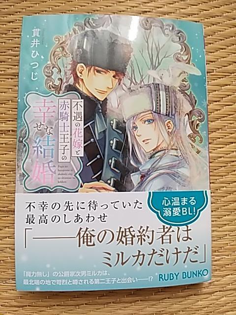 VV@@s̉ԉłƐԋRmq̍KȌ@@шЂ/q 