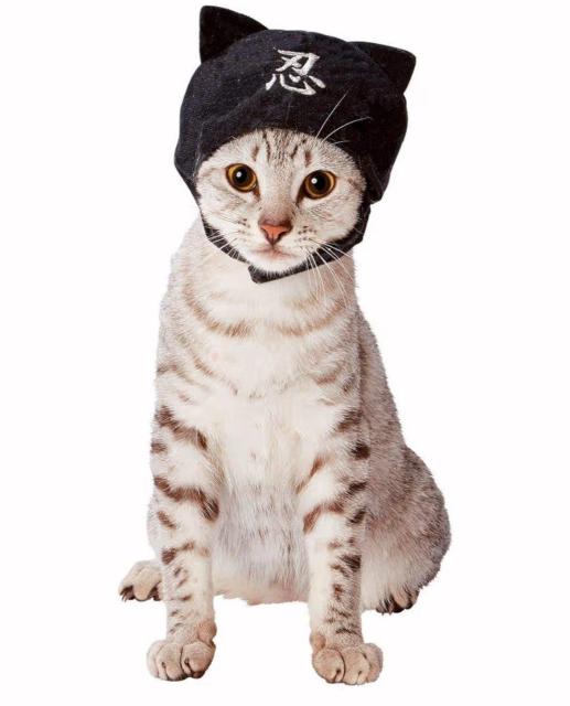 猫用★ネコちゃん用★ほっかむり★変身グッズ★忍者★ネコ忍者★ハロウィン★かわいい★ペット用仮装グッズ★ペット★新品未使用★送料無料 < ペット/手芸/園芸  猫用★ネコちゃん用★ほっかむり★変身グッズ★忍者★ネコ忍者★ハロウィン★かわいい★ペット用仮装グッズ★ペット★新品未使用★送料無料 < ペット/手芸/園芸の