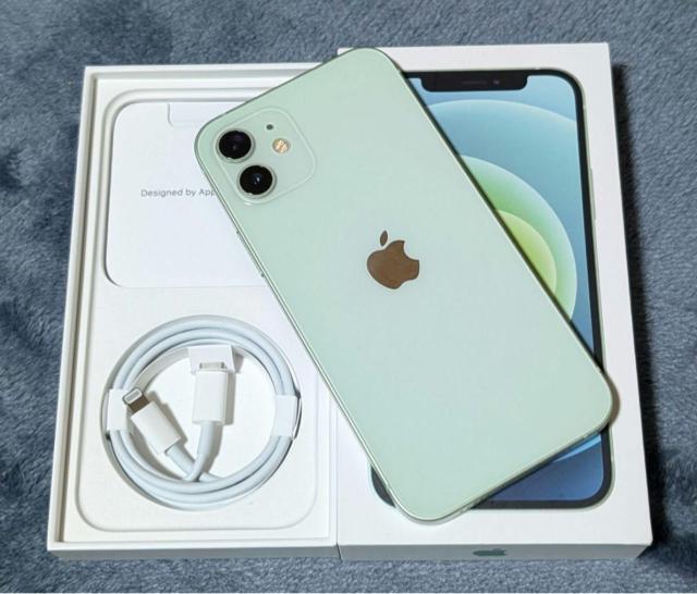 yobe[100zCO iPhone12 256GB O[ Vb^[Ȃ@Ati   Ɠd/AV 