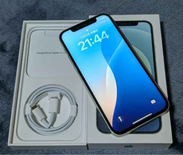 yobe[100zCO iPhone12 256GB O[ Vb^[Ȃ@Ati  Ɠd/AV 