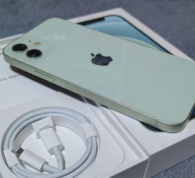 yobe[100zCO iPhone12 256GB O[ Vb^[Ȃ@Ati  Ɠd/AV 