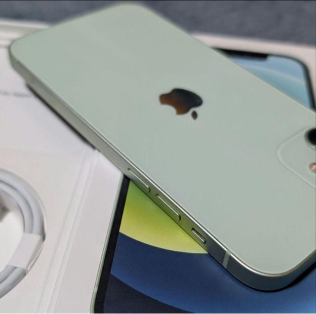 yobe[100zCO iPhone12 256GB O[ Vb^[Ȃ@Ati  Ɠd/AV 