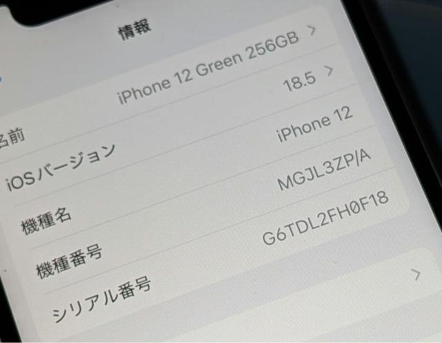 yobe[100zCO iPhone12 256GB O[ Vb^[Ȃ@Ati  Ɠd/AV 