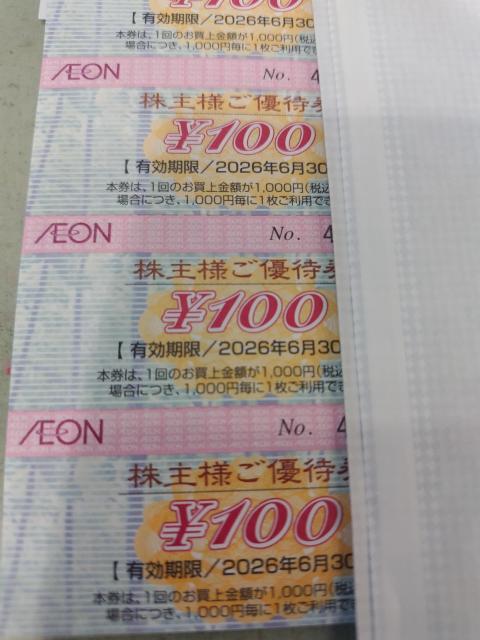 イオン株主優待券100円券 < チケット/金券 イオン株主優待券100円券 < チケット/金券の