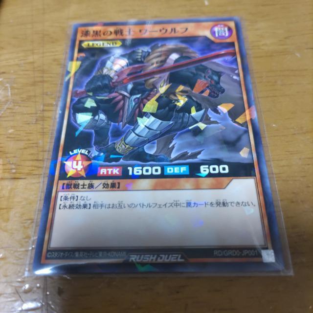 VYbV@̃[Et   Aj/R~bN/LN^[ 