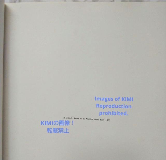モンパルナスの大冒険 1910~1930 単行本 1988 美術 芸術 The < 本/雑誌  モンパルナスの大冒険 1910~1930 単行本 1988 美術 芸術 The < 本/雑誌の