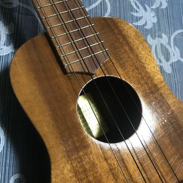  Ceniza T&K Zj[U RA RT[gEN nC  zr[ 