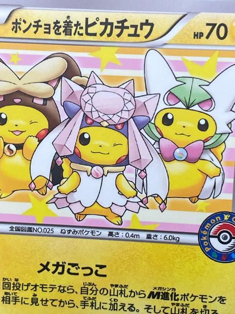 �|���`���𒅂��s�J�`���E 275/XY-P �v���� �|�P�Z������ ���K�f�B�A���V�[ �� �g���[�f�B���O�J�[�h�� 