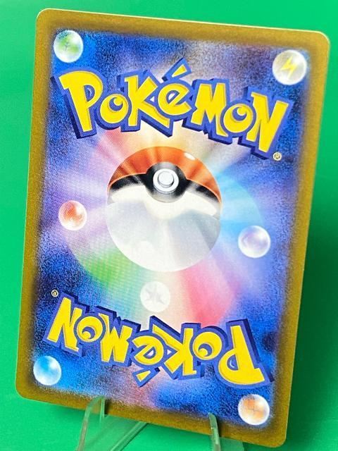 �|���`���𒅂��s�J�`���E 275/XY-P �v���� �|�P�Z������ ���K�f�B�A���V�[ �� �g���[�f�B���O�J�[�h�� 