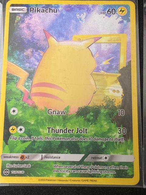 �y3���Z�b�g�z�s�J�`���E  ���i���U ���� �|�P�J���A �� �� �g���[�f�B���O�J�[�h�� 