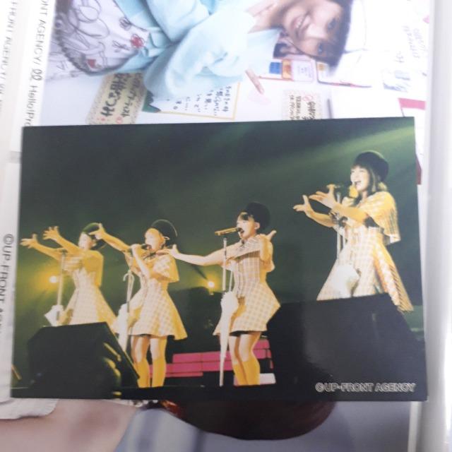 タンポポ公式ブロマイド227。 < タレントグッズ タンポポ公式ブロマイド227。 < タレントグッズの