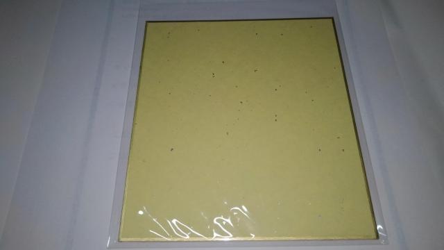 フリージング 非売品 限定 著者 直筆 サイン 入り ミニ 色紙 Sランク サテライザー エル ブリジット < アニメ/コミック/キャラクター  フリージング 非売品 限定 著者 直筆 サイン 入り ミニ 色紙 Sランク サテライザー エル ブリジット < アニメ/コミック/キャラクターの