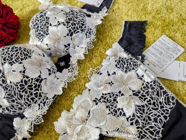 salute/T[g/X݌/89G/F70\OTobNV[c/KO/CJ[/G/߂݂  t@bV 