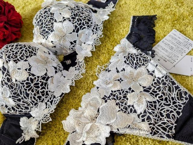 salute/T[g/X݌/89G/F70\OTobNV[c/KO/CJ[/G/߂݂  t@bV 