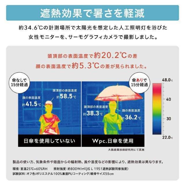 s܂肽ݎPtJꌓp̂탌CObY