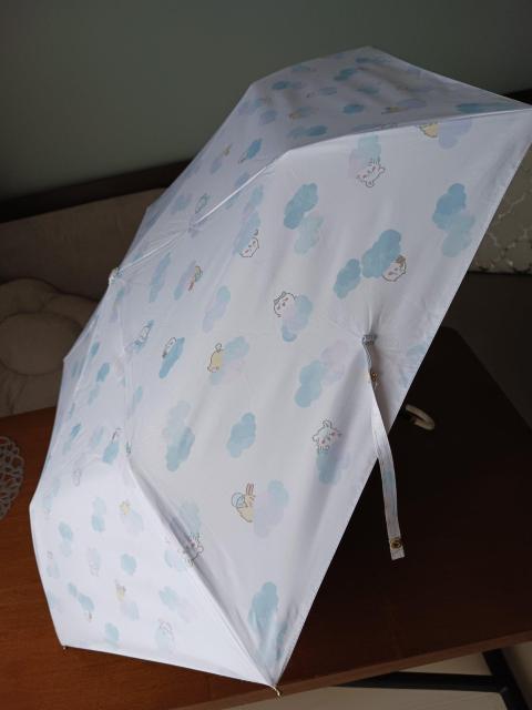 s܂肽ݎPtJꌓp̂탌CObY