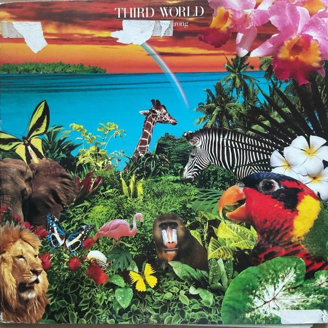 THIRD WORLD / ALL THE WAY STRONG < CD/DVD/ビデオ  THIRD WORLD / ALL THE WAY STRONG  < CD/DVD/ビデオの