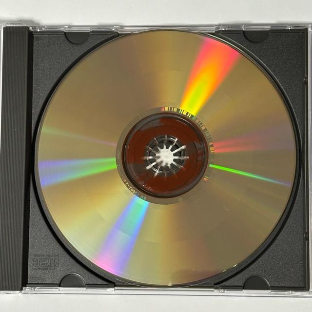 Domestic Science Club / Domestic Science Club < CD/DVD/ビデオ  Domestic Science Club / Domestic Science Club < CD/DVD/ビデオの