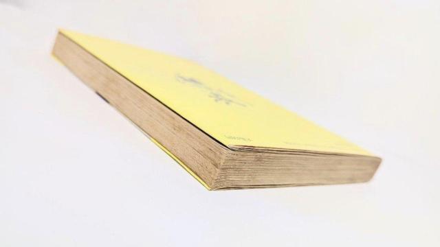 【希少レア】 大どろぼうホッツェンプロッツ プロイスラー 著 < 本/雑誌 【希少レア】 大どろぼうホッツェンプロッツ プロイスラー 著 < 本/雑誌の