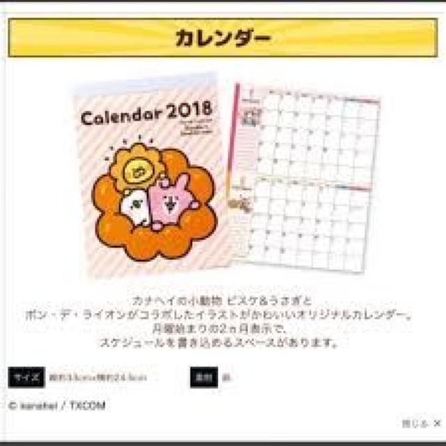 y~X^[h[icz2018N܁ JiwC J_[   zr[ 