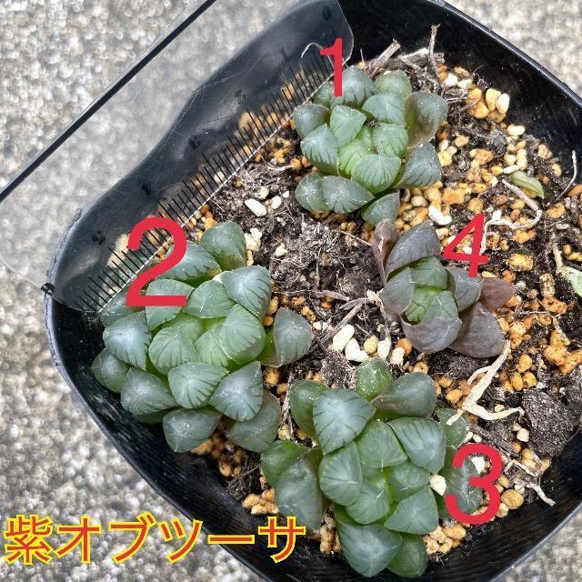 Iuc[T Iuc[T Iu  nI`A c 1c  Iu Iu   ybg/|/| 