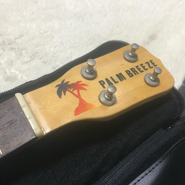 A PALM BREEZE _uz[ RT[gEN