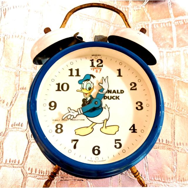 80N hih lW ڊo܂v fBYj[ re[W   Aj/R~bN/LN^[ 