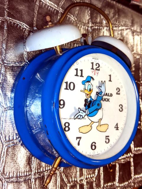 80N hih lW ڊo܂v fBYj[ re[W  Aj/R~bN/LN^[ 