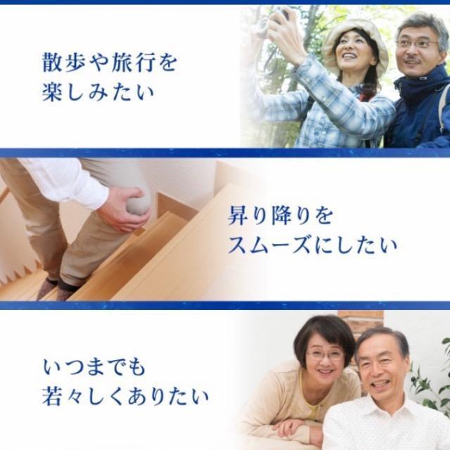 コンドロイチン サメ軟骨 サプリメント 3ヵ月分×4袋  1年分健康食品 < グルメ/ドリンク  コンドロイチン サメ軟骨 サプリメント 3ヵ月分×4袋  1年分健康食品 < グルメ/ドリンクの