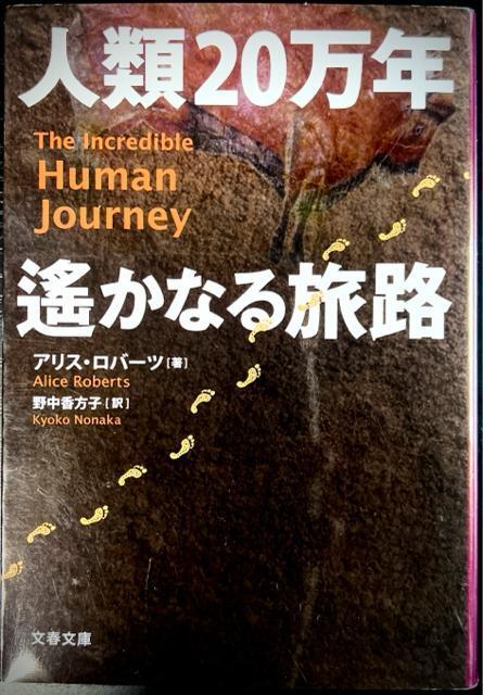 人類20万年 遥かなる旅路 【文春文庫】 アリス・ロバーツ < 本/雑誌  人類20万年 遥かなる旅路 【文春文庫】 アリス・ロバーツ  < 本/雑誌の