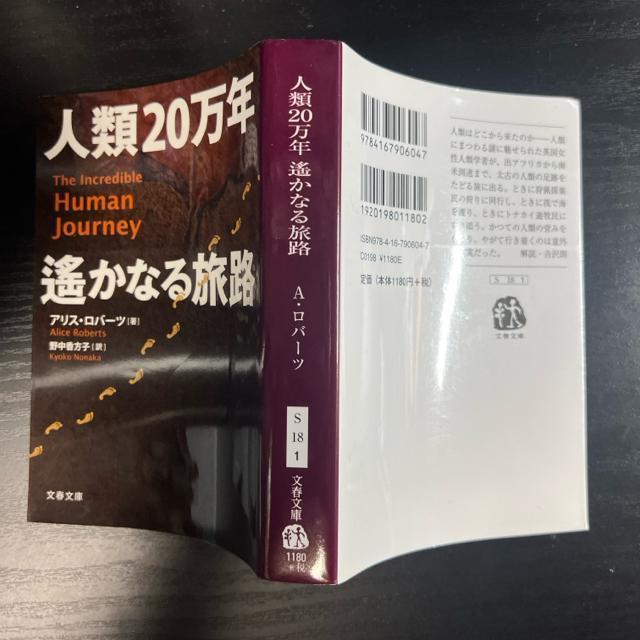 人類20万年 遥かなる旅路 【文春文庫】 アリス・ロバーツ < 本/雑誌  人類20万年 遥かなる旅路 【文春文庫】 アリス・ロバーツ < 本/雑誌の
