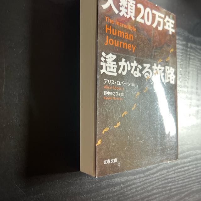 人類20万年 遥かなる旅路 【文春文庫】 アリス・ロバーツ < 本/雑誌  人類20万年 遥かなる旅路 【文春文庫】 アリス・ロバーツ < 本/雑誌の