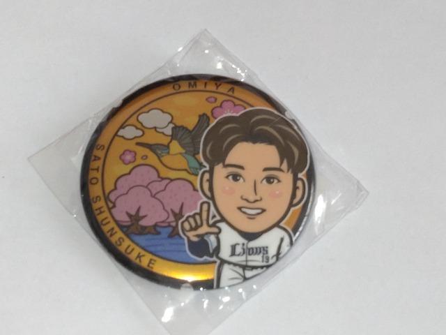 ʐCIY2024 19 㓊 u[jtH[sob` {ʃob` o[VuXgoh K`̔  W[/X|[c 