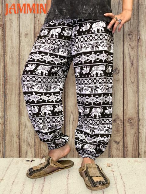 AWAۂ񕿃pc@GXjbN@qbs[@AWA@^Cpc  t@bV 