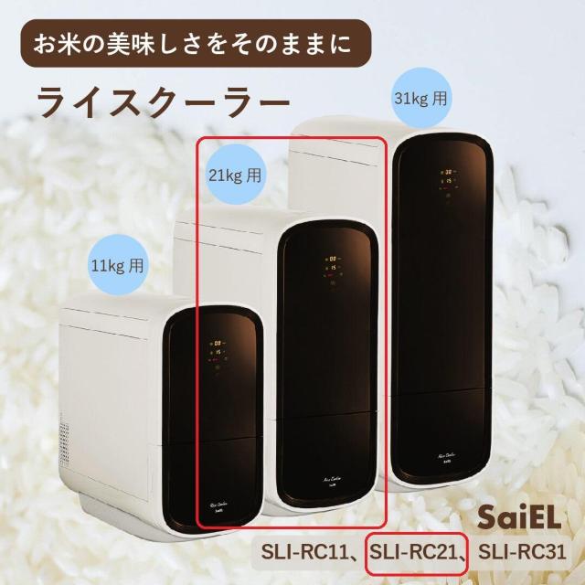 ۗĂт@CXN[[@21Kg@퉷ۑ@   CeA/Ct 