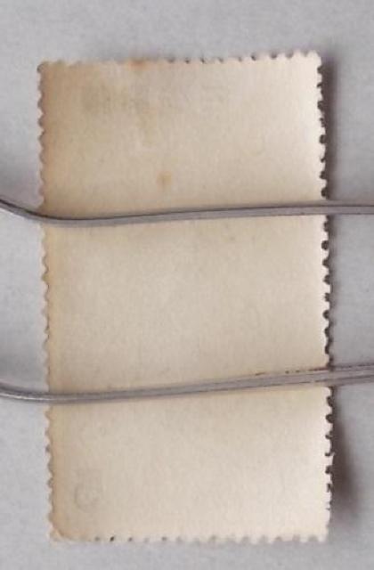 �y���g�p�z��P�����������؎�@���������@�T�~�@�P�� �� �z�r�[�� 