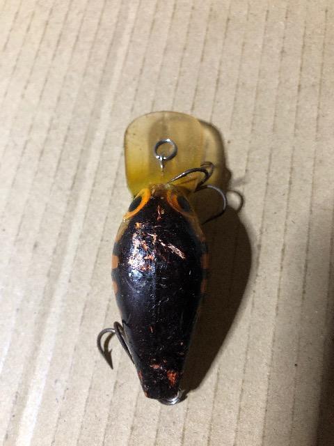 I[hXg[@ECO[g@󏭃J[@WN  W[/X|[c 