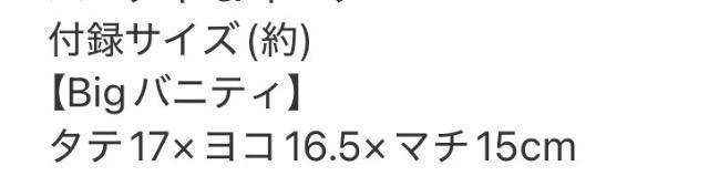 ステディ 雑誌付録★アクアガール★バニティーポーチ < ブランド ステディ 雑誌付録★アクアガール★バニティーポーチ < ブランドの