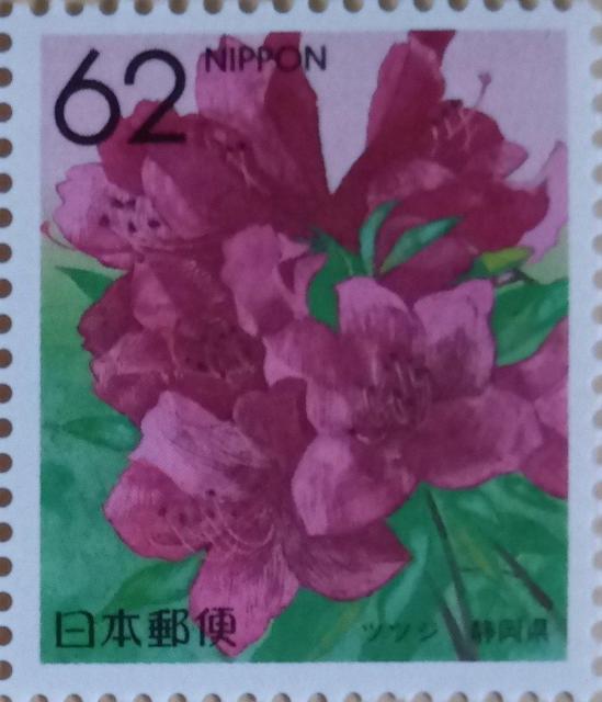 62~؎~1@ccW@É   zr[ 