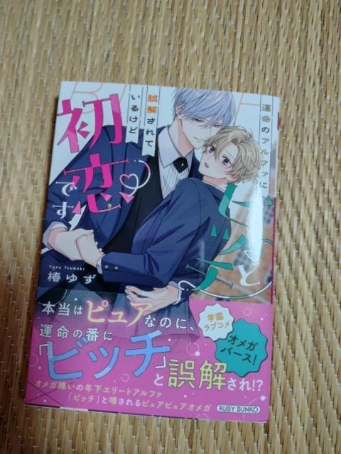 1月新刊 運命のアルファにビッチと誤解されているけど初恋です 椿ゆず < 本/雑誌 1月新刊 運命のアルファにビッチと誤解されているけど初恋です 椿ゆず < 本/雑誌の