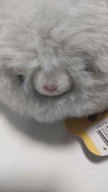 新品 うさぴょん < おもちゃ 新品 うさぴょん < おもちゃの