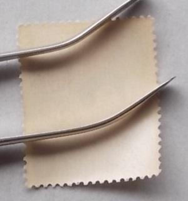 �y���g�p�z�N��؎�@���a�R�R�N�p�@���ʂ͂肱�@�P�� �� �z�r�[�� 