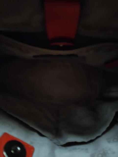 Michael Kors �}�C�P���R�[�X MK���S �~�j�g�[�g�o�b�O �n���h�o�b�O ���b�h�n �� �u�����h�� 