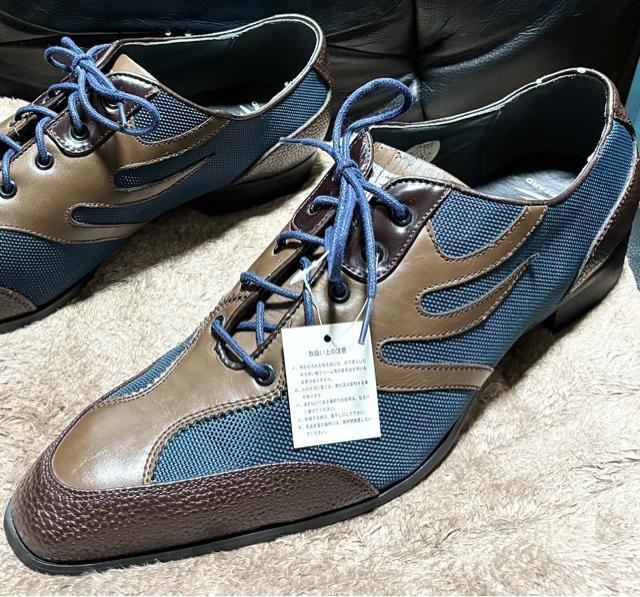 ���g�p �󂠂�� DRAGON BEARD �h���S���x�A�[�h �艿2.5���~�� �v ���U�[ �ؑ� �V���[�Y 44 �X�j�[�J�[ �C �� �j���t�@�b�V������ 