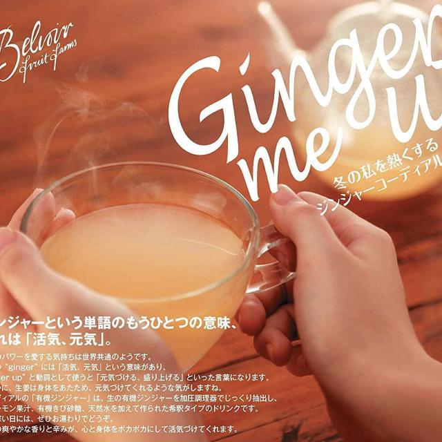 有機コーディアル ジンジャー 500ml < グルメ/ドリンク  有機コーディアル ジンジャー 500ml < グルメ/ドリンクの