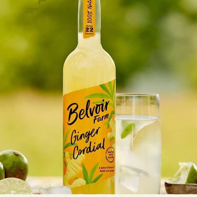 有機コーディアル ジンジャー 500ml < グルメ/ドリンク  有機コーディアル ジンジャー 500ml < グルメ/ドリンクの