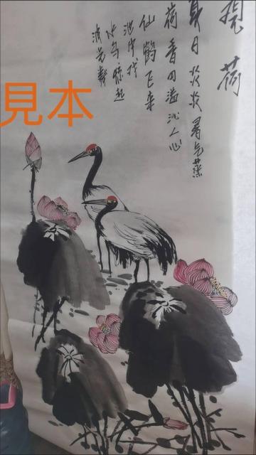 �����鎆�y�����������z���� �ʔ� �Ö@ �l�ڒP�� �ꔽ100�� 2009�N���Y ���� �����d�ʖ�4.5kg 80%�h�� ���[�l�� �� ��������� 